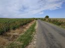 Vignes de Sézanne